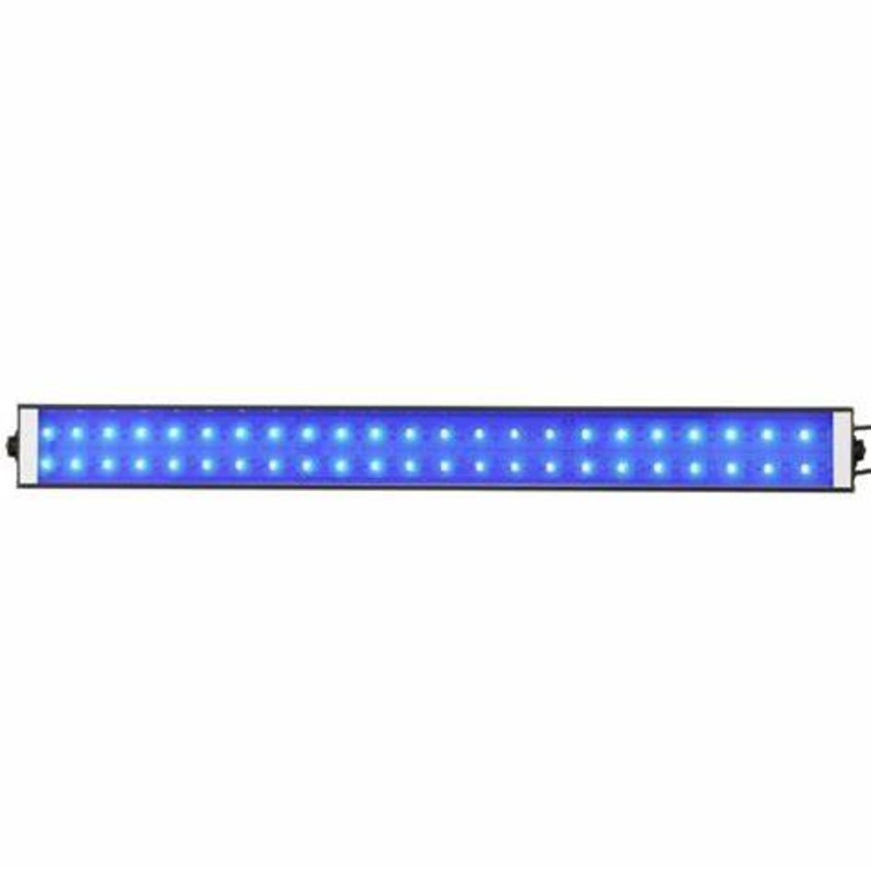 Reef Brite Lumi Lite Pro 48" Blue
