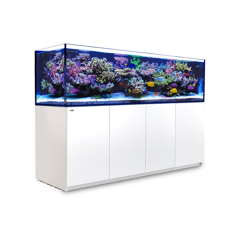 Reefer 3XL 900 G2 - White