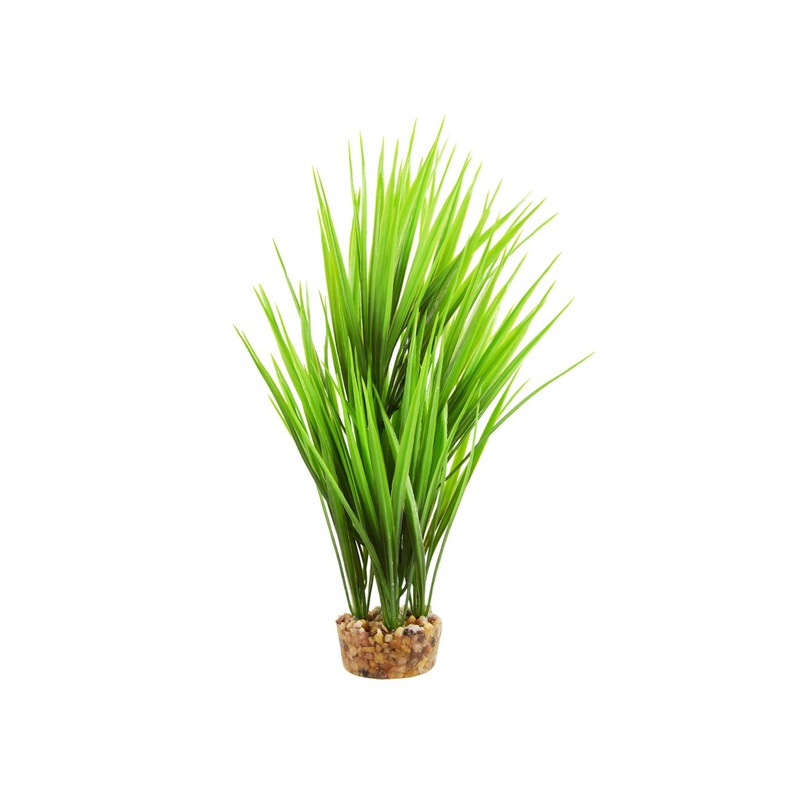 Underwater Treasures Amazon Grass - Green - 10