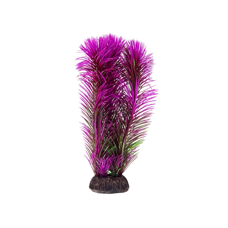 Underwater Treasures Ambulia - Purple - 8