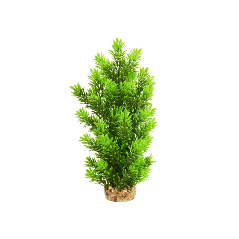Underwater Treasures Ambulia Tree - 12