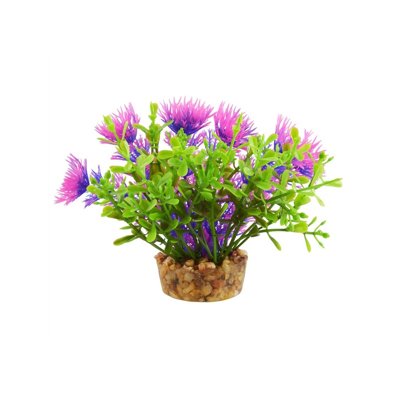 Underwater Treasures Bacomba - Purple - 4
