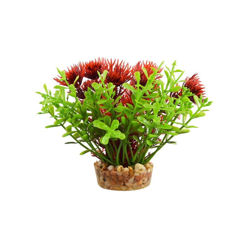 Underwater Treasures Bacomba - Red - 4