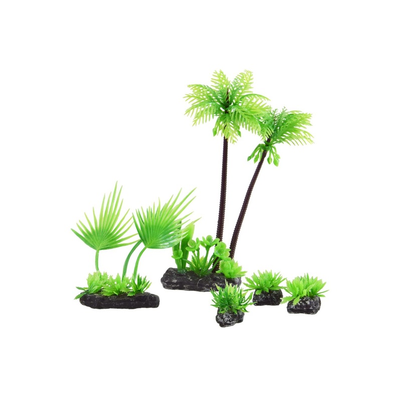 Underwater Treasures Foreground Plant Set - Coco