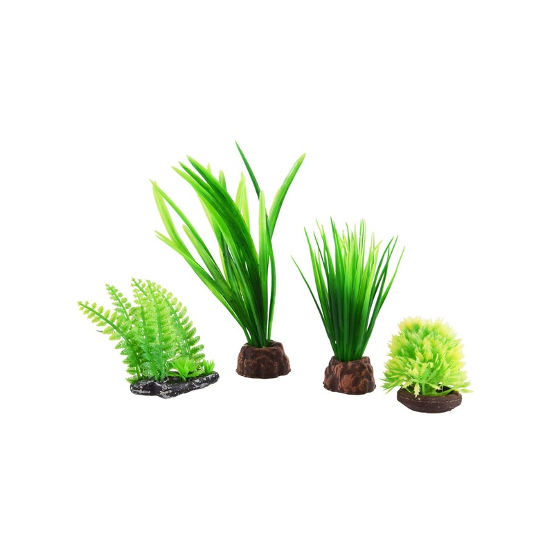 Underwater Treasures Foreground Plant Set - Green