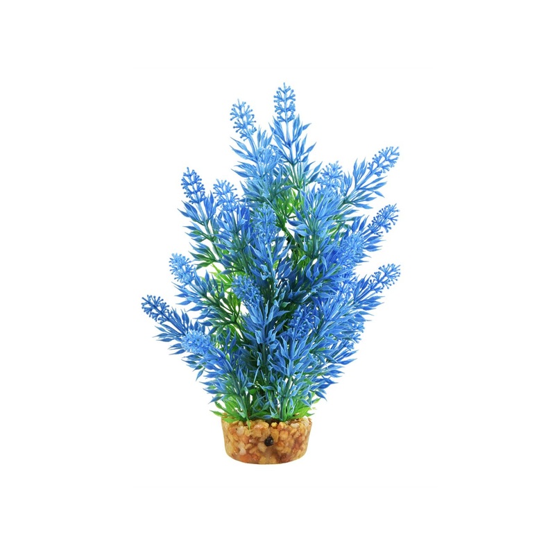 Underwater Treasures Hygro Tree  - 8