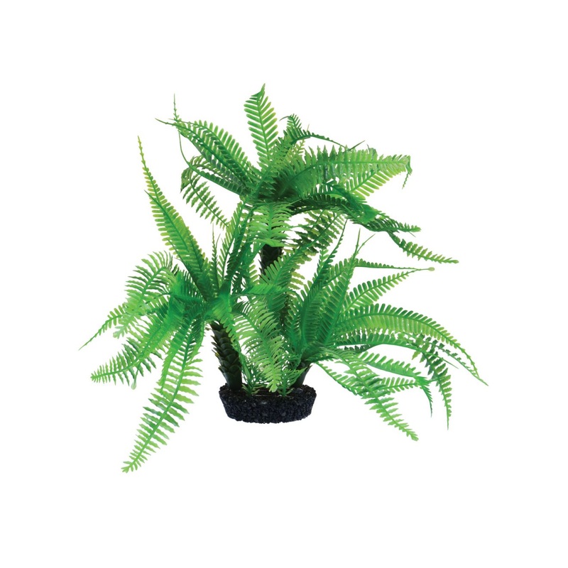 Underwater Treasures Jurassic Fern - 10"