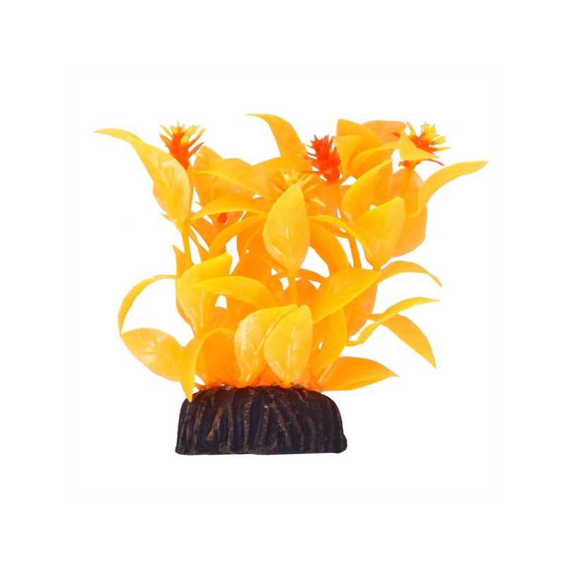 Underwater Treasures Ludwigia - Orange - 3