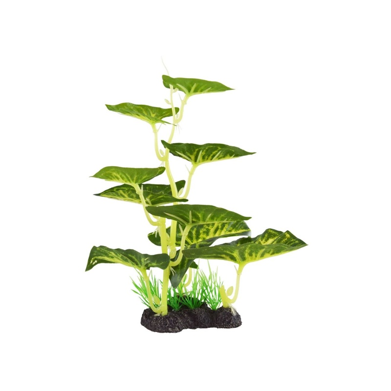 Underwater Treasures Plant Arrowhead