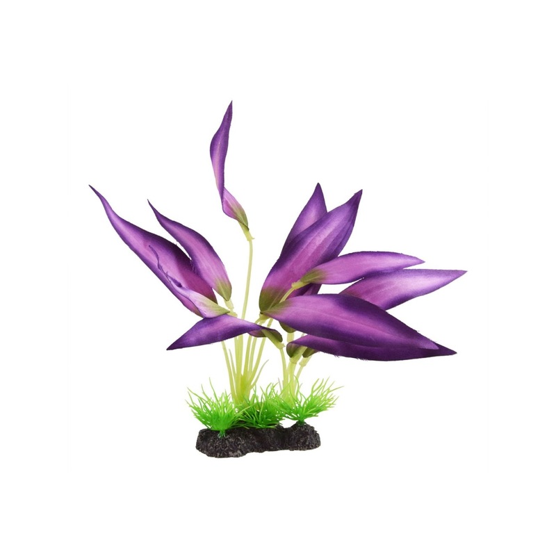 Underwater Treasures Plant Queen - Purple