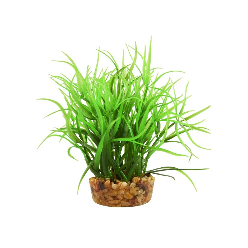 Underwater Treasures Star Grass - 4