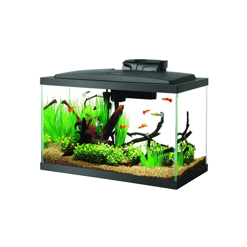 Aqueon LED Aquarium Kit - 10 gal