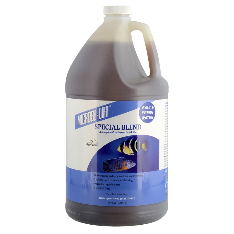 Microbe-Lift Special Blend - 1 gal