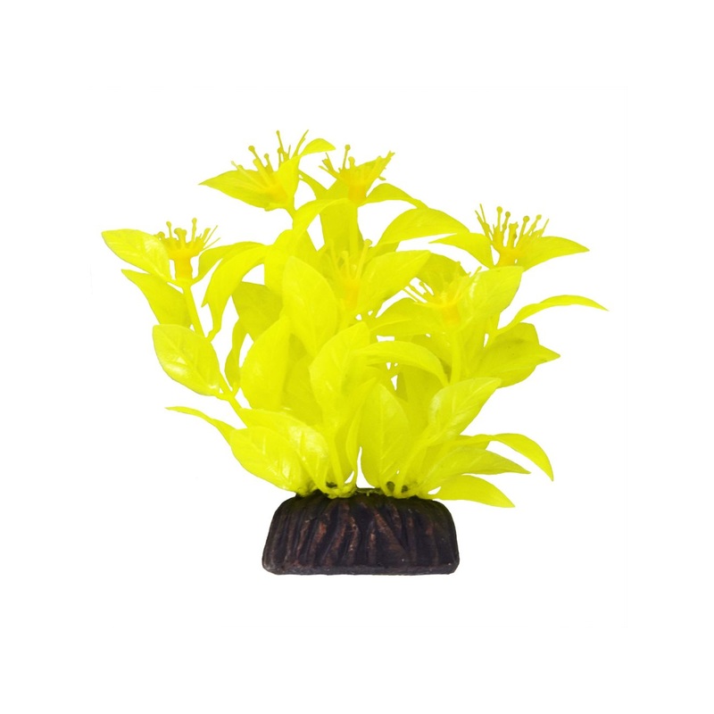 Underwater Treasures Ludwigia - Yellow - 3