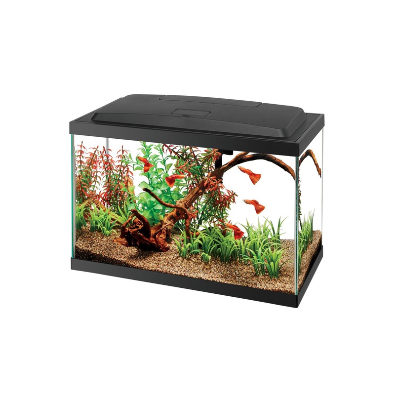 Aqueon Aquarium Starter Kit with LED - 5.5 Gal