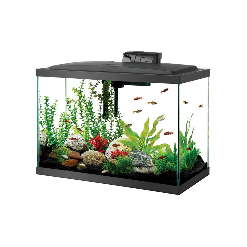 Aqueon LED Aquarium Kit - 20 gal - High