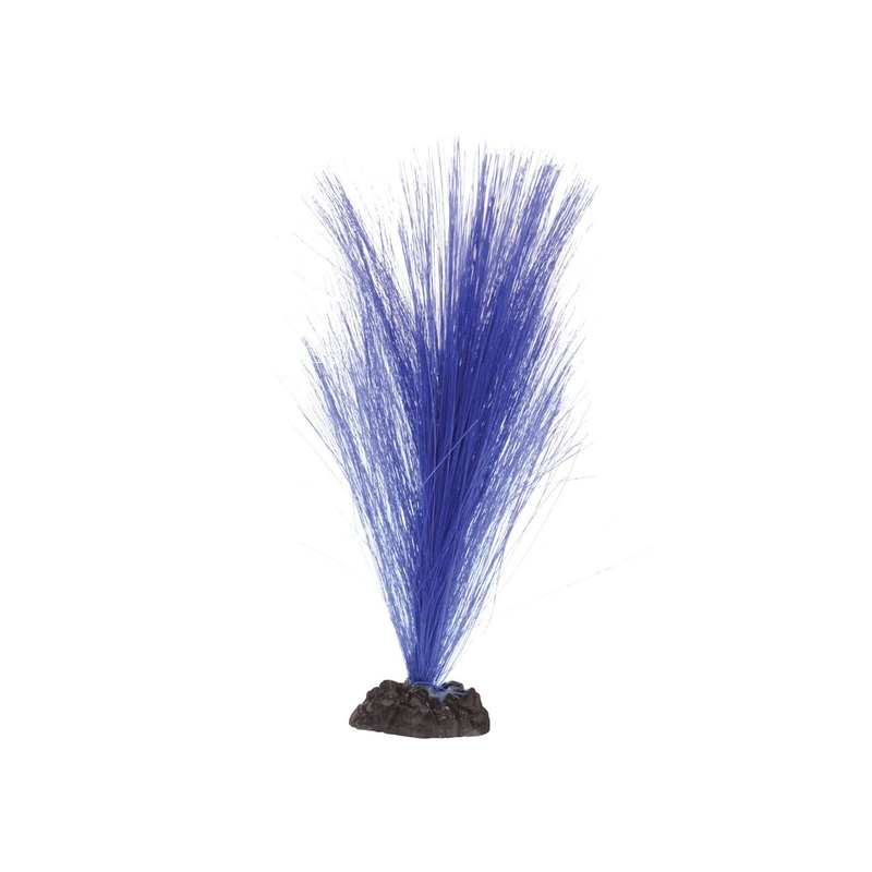 Silk Hairgrass - Purple