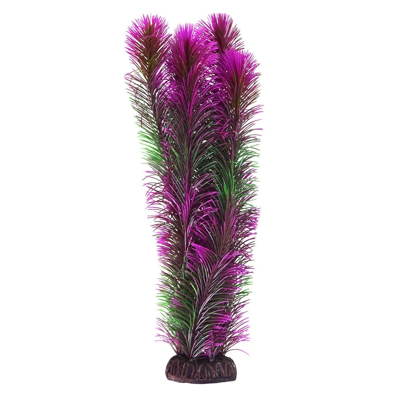 Underwater Treasures Ambulia - Purple - 16