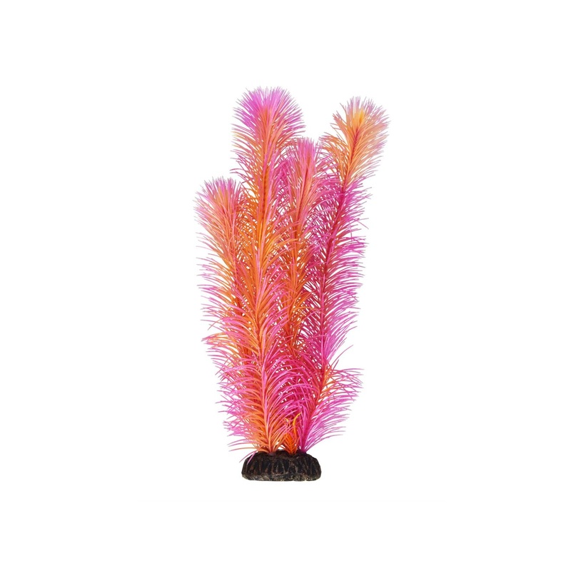 Underwater Treasures Ambulia - Red - 12