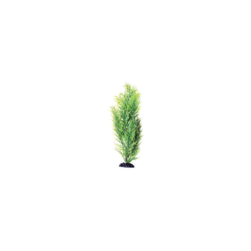 Underwater Treasures Green Bamboo - 16"