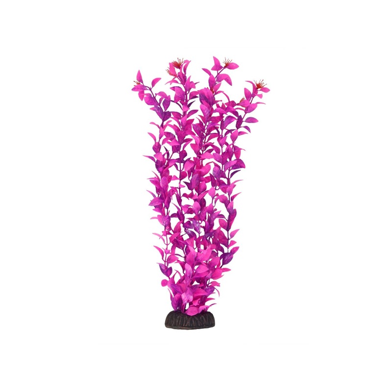 Underwater Treasures Ludwigia - Pink - 16