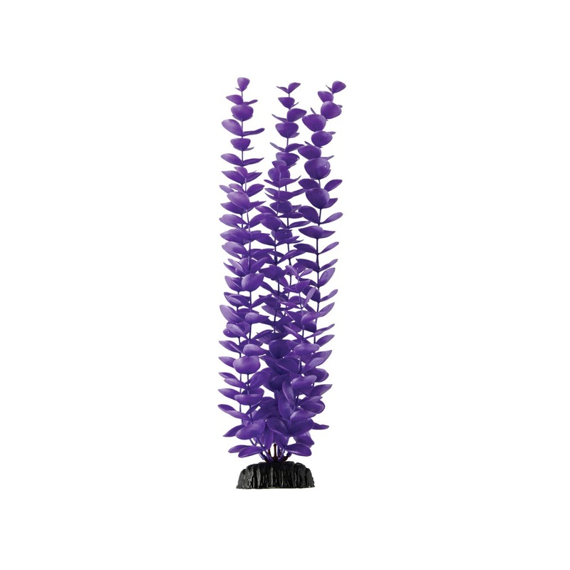 Underwater Treasures Magenta Bacopa - 14.5"