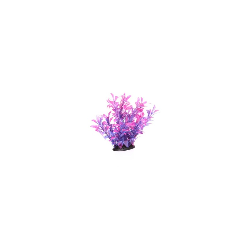 Underwater Treasures Magenta Ludwigia - 6.5"