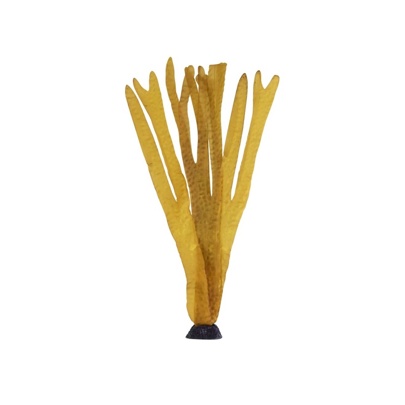 Underwater Treasures Ocean Kelp - Brown