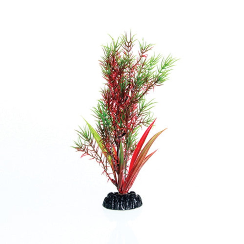 Underwater Treasures Red/Green Springeri - 8"