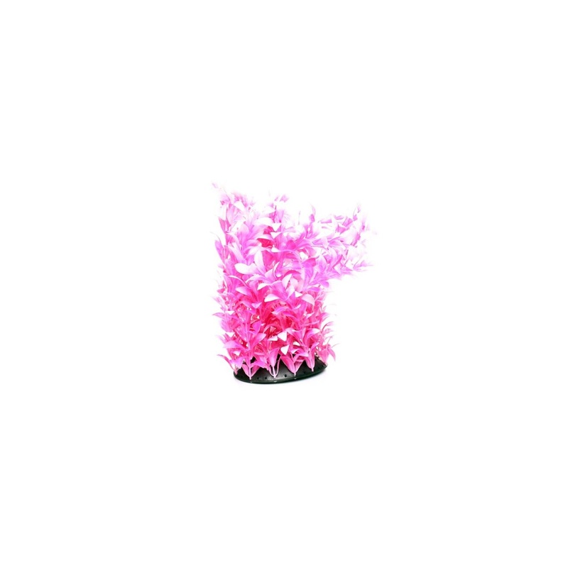 Underwater Treasures White Tipped Ludwigia - 12"
