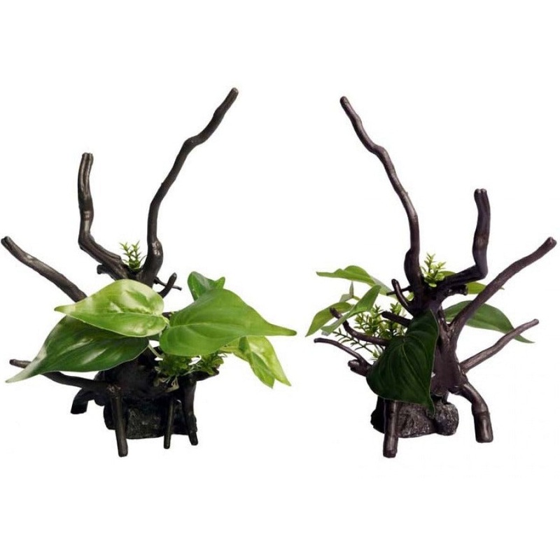 Aqua One Ecoscape Devils Ivy Driftwood Green