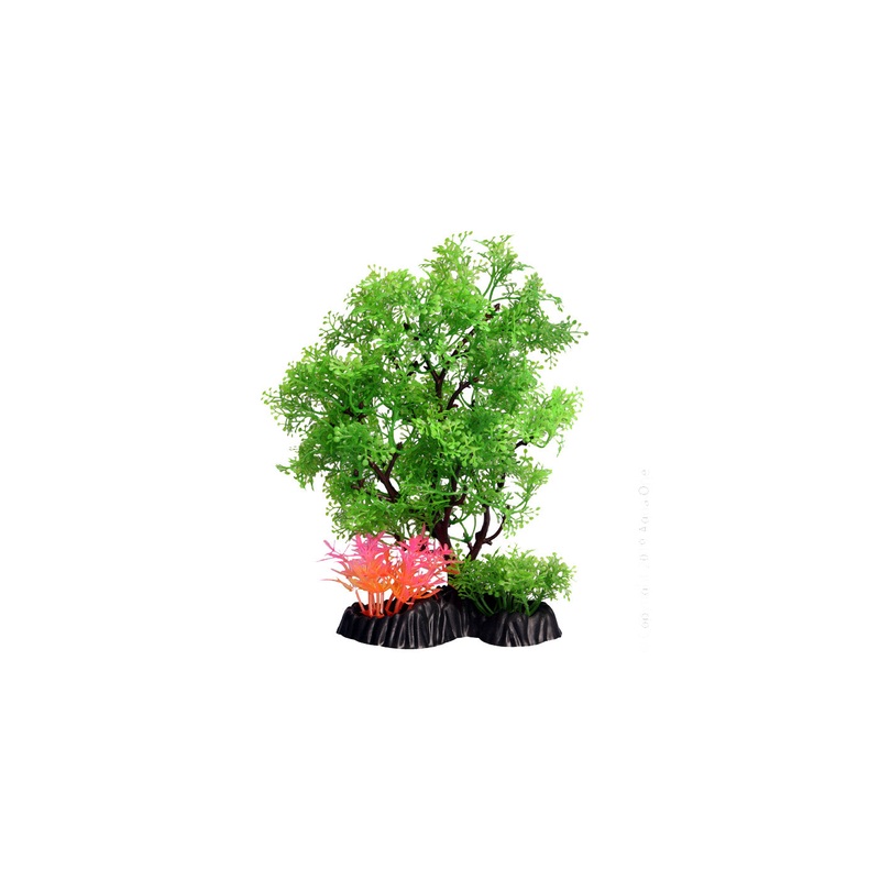 Ecoscape Pollicem Ranae Tree Medium Green