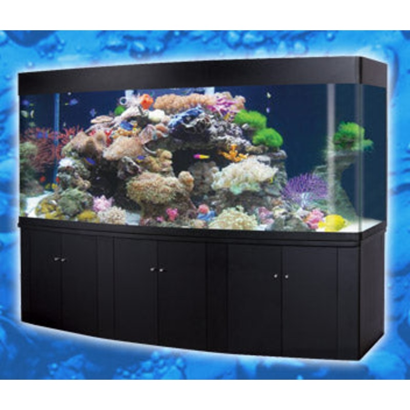 Oceanson RM250 - 250cm Aquarium with Curved Front and Cabinet with sump