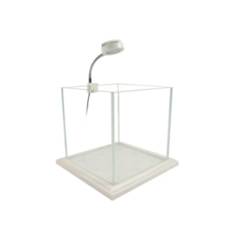 Zetlight Mini White/Blue 3w LED - 12000K