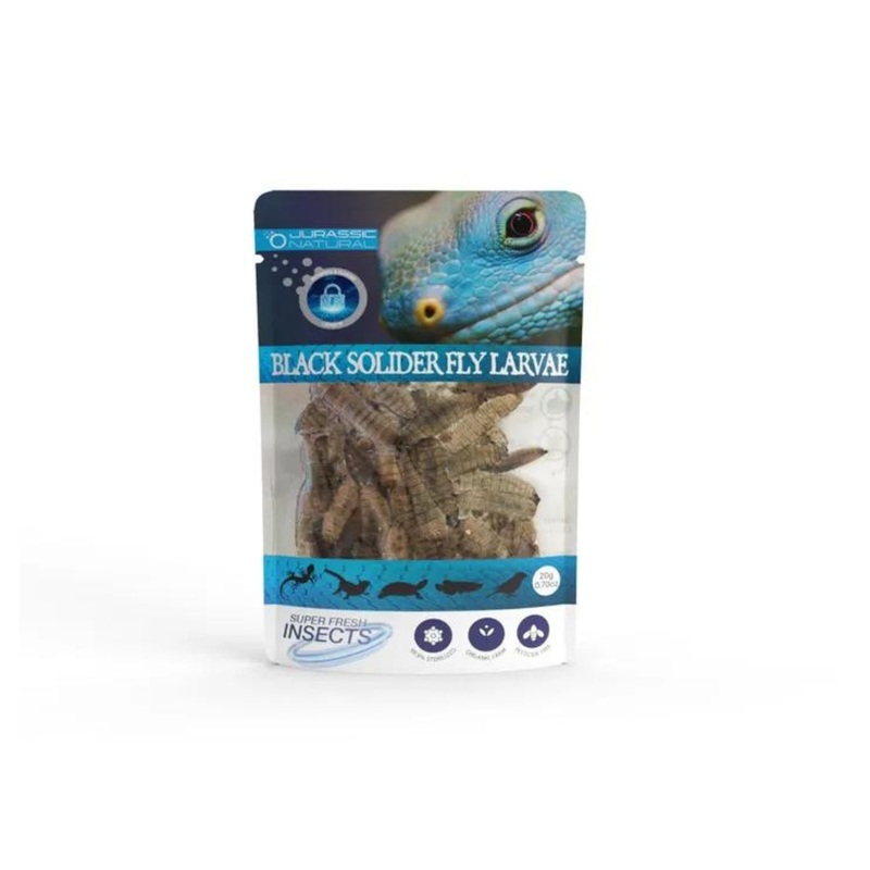 JN BLACK SOLDIER 20G SINGLE PACK