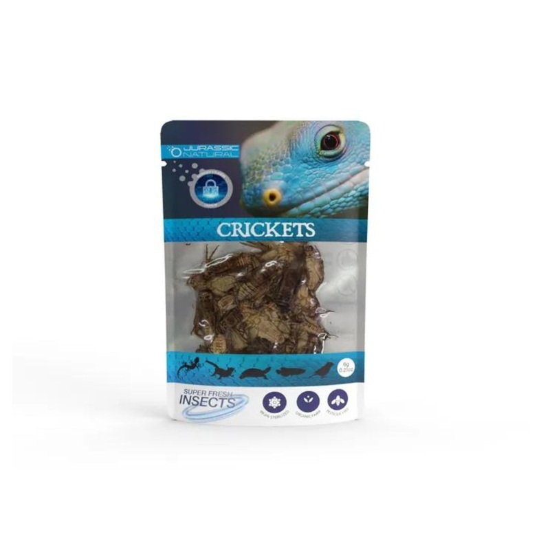 JN CRICKET 6G SINGLE PACK