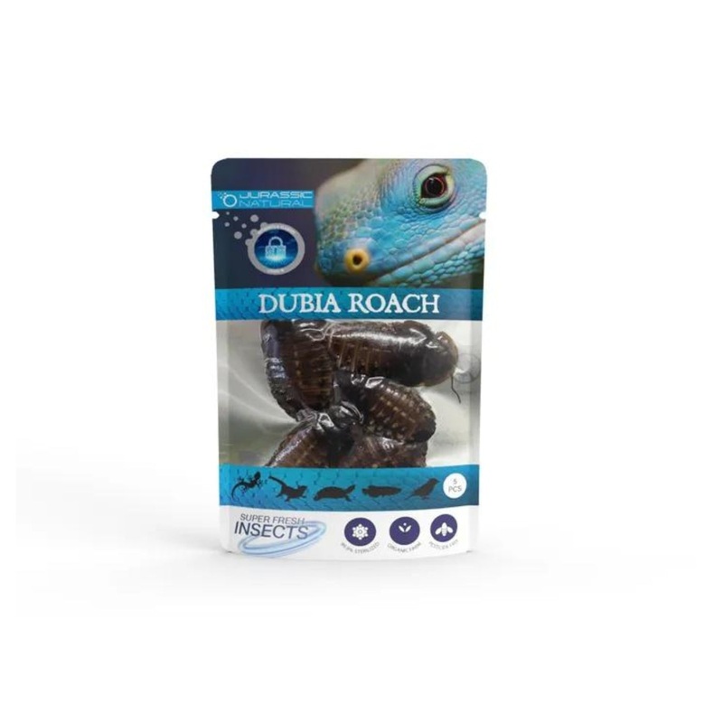 JN DUBIA ROACH 5PCS SINGLE PACK