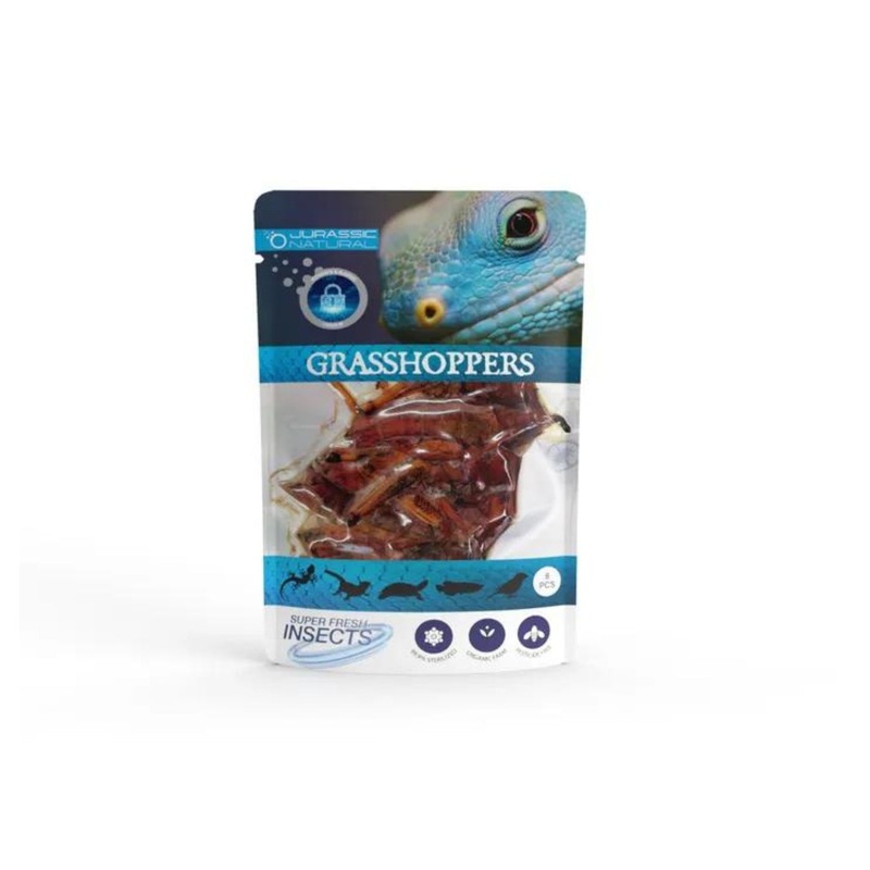 JN GRASSHOPPER 8PCS SINGLE PACK