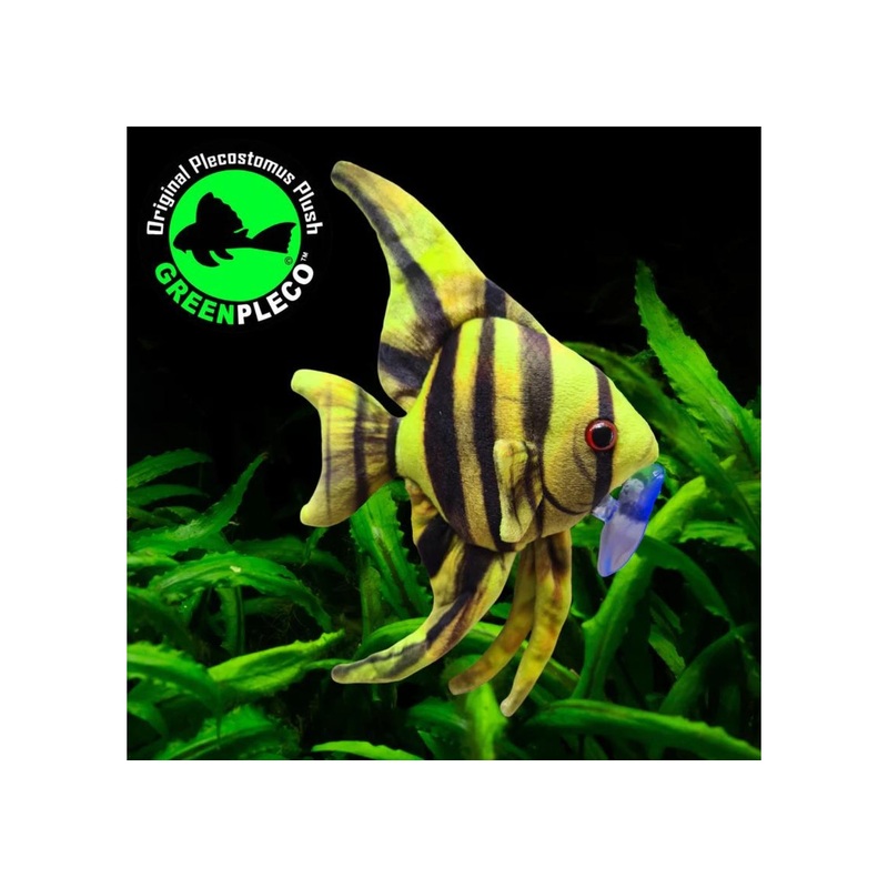 Fish Plushie - Angelfish Rare 13cm x 22cm