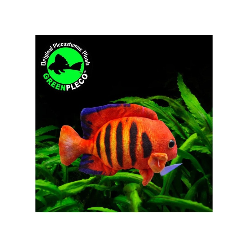 Fish Plushie - Flame Angel 14cm