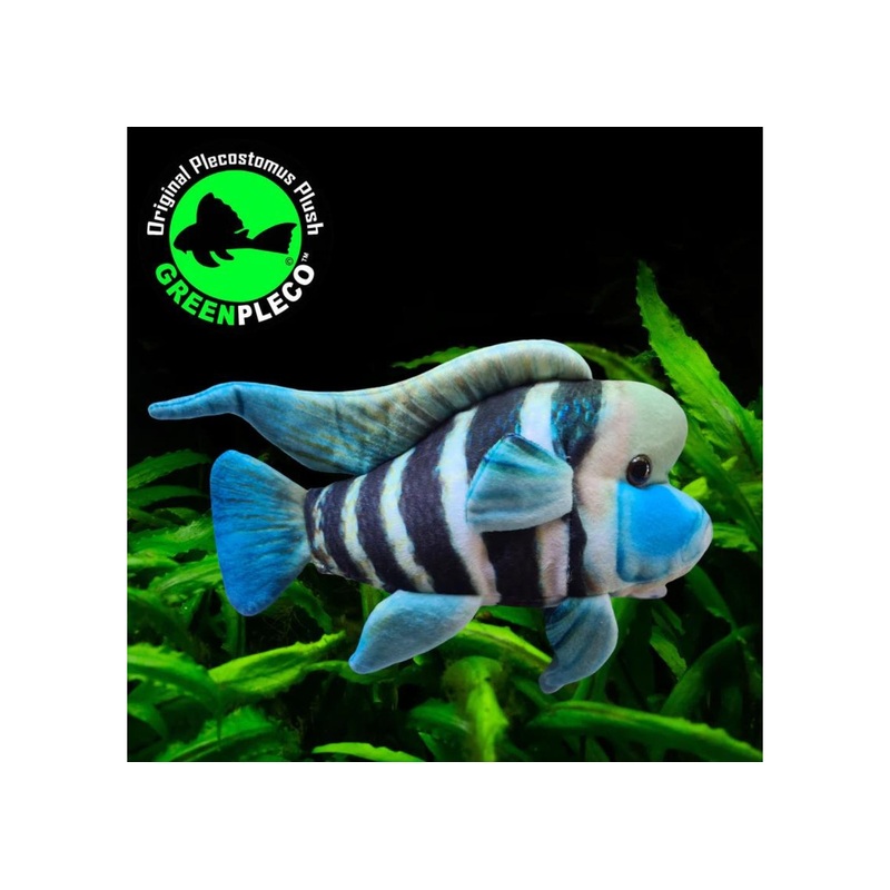 Fish Plushie - Frontosa 27cm