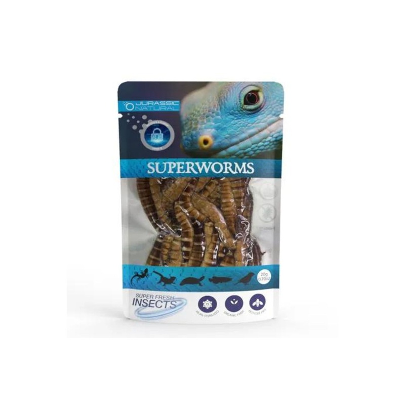 JN SUPERWORM 20G SINGLE PACK