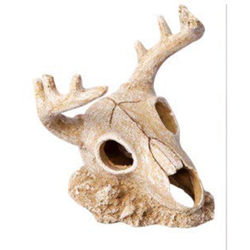 Ornament Deer Skull 14.5wx13.5x15.5cmh