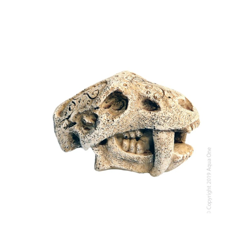 Ornament Mini Dinosour Head W Fangs 5x7x4.5cm