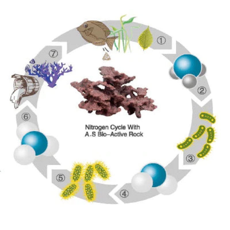 Bio-active Rock