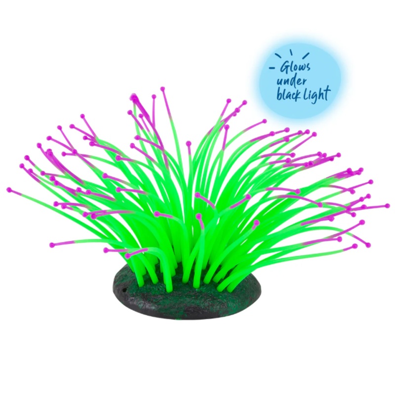 Kazoo - Silicone Plant Sea Anemone Green/Purple