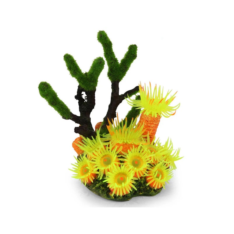 Kazoo - Soft Coral W/Textured Moss