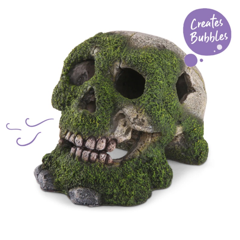 Kazoo - Skull W/Moss & Air