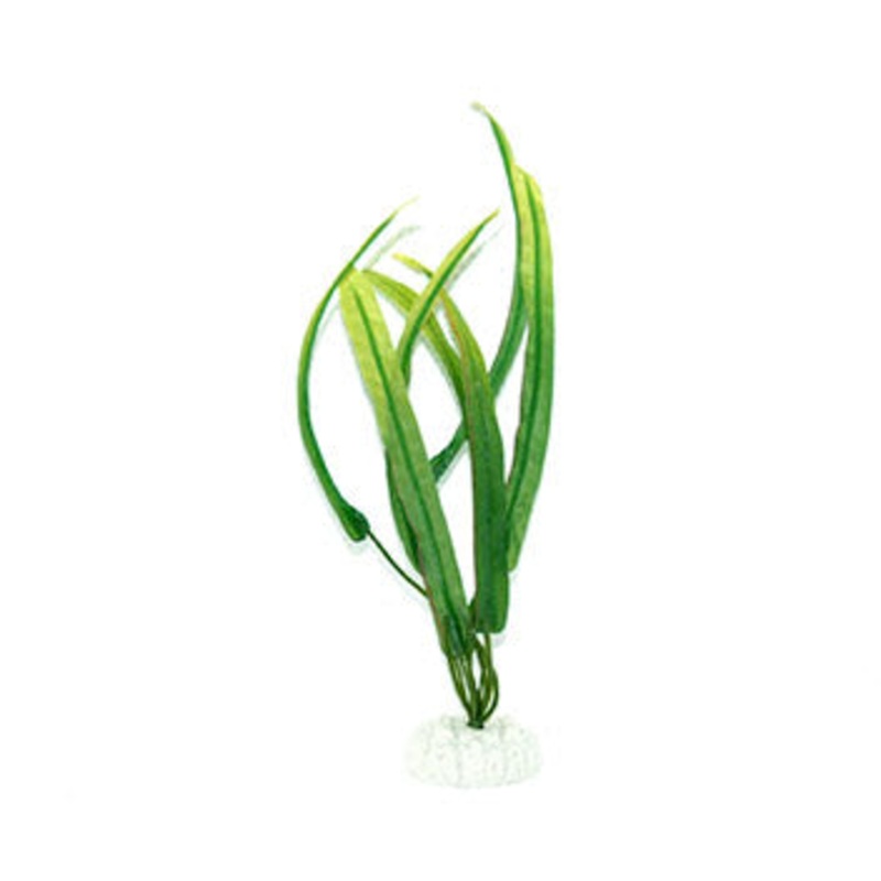 Aqua Dekore Narrow Leaf Sword Silk Plant - discontinued