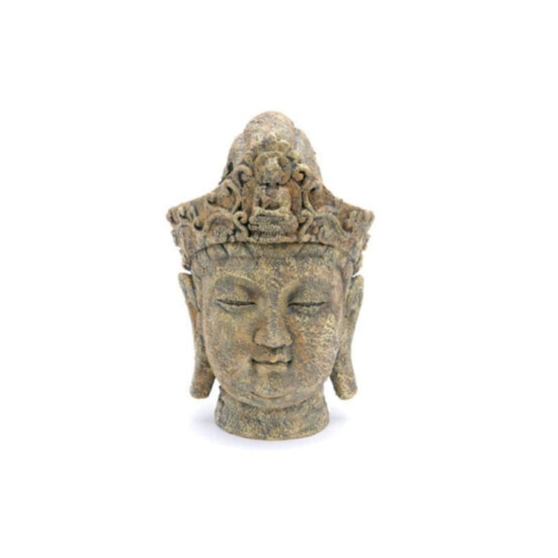 Buddha Head